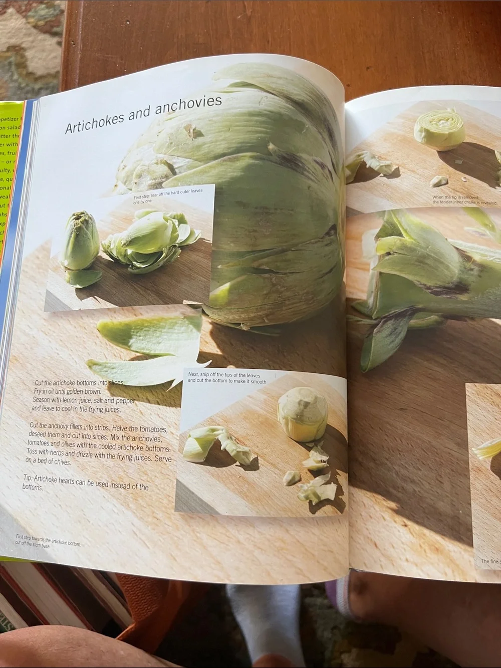 Salads Book by Frauke Koops & Gunter Beer